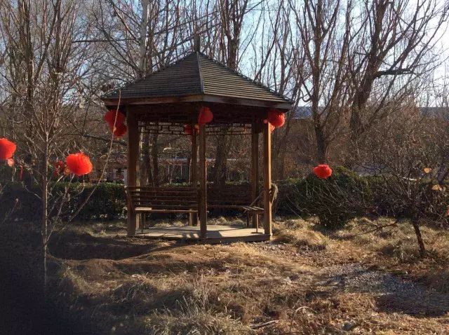 1699924804507012768.jpg 1699924804507012768.jpg