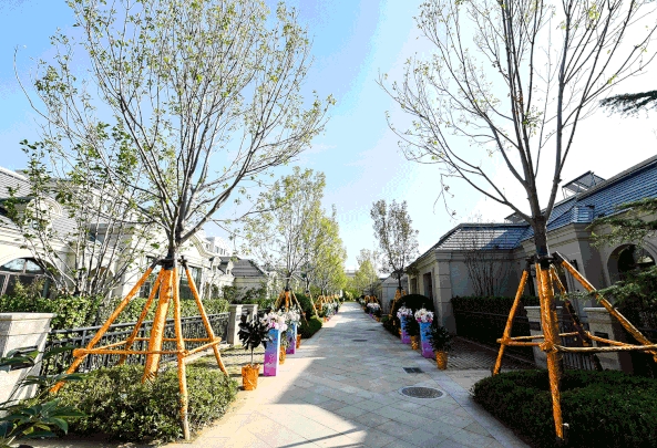 1700808987317032120.png 微信截圖_20231124145341.png