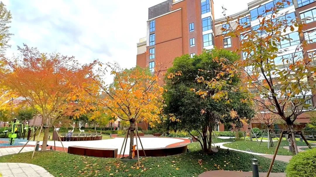 1701658078379010047.jpg 1701658078379010047.jpg