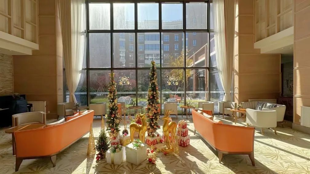 1701658237078026456.jpg 1701658237078026456.jpg