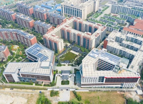 1702018597309042896.png 1.png