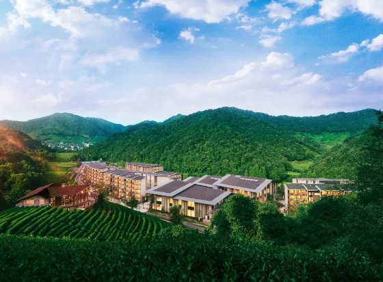 1702868994826017628.png 4.png