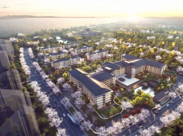 1703141150377015252.png 1.png