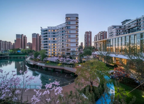 1704164946699025970.png 7.png