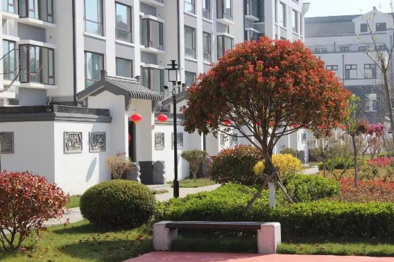 1704967639039076427.png 2.png