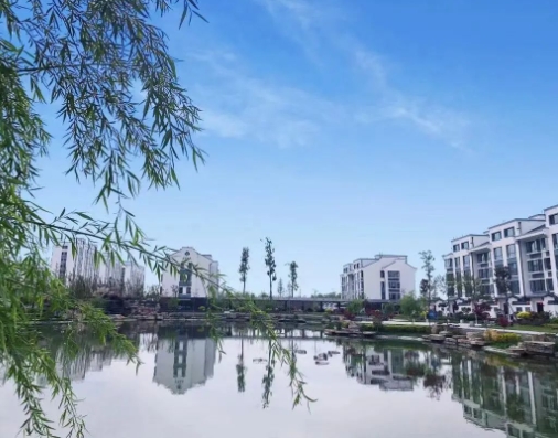 1704967647234048981.png 3.png