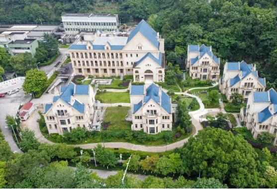 1705384823851000911.png 1.png