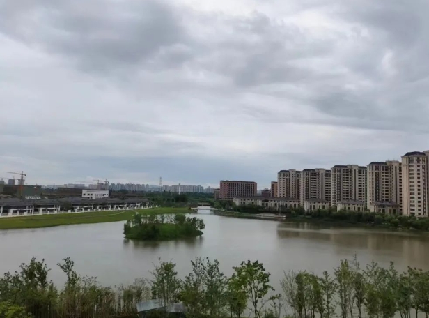 1705541698970089310.png 10.png