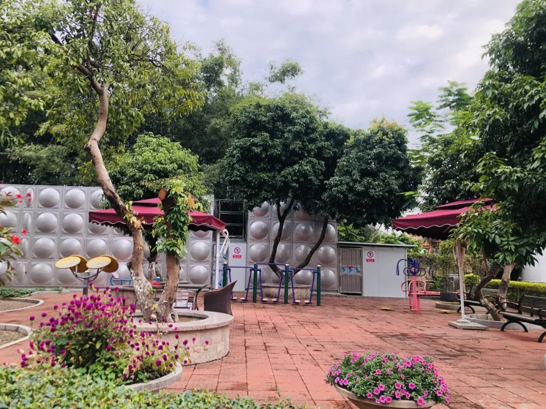 1706065520469054196.jpg 1706065520469054196.jpg