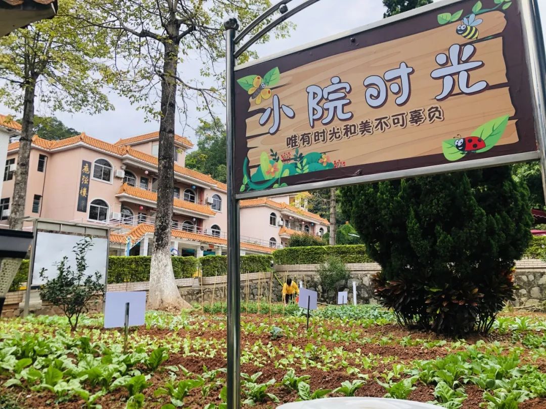 1706065533449064031.jpg 1706065533449064031.jpg