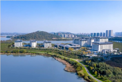 1706146560265061336.png 1.png