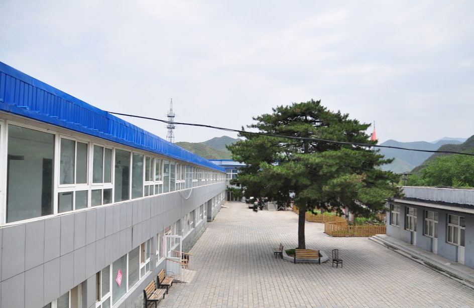 1710119401661071943.jpg 1710119401661071943.jpg