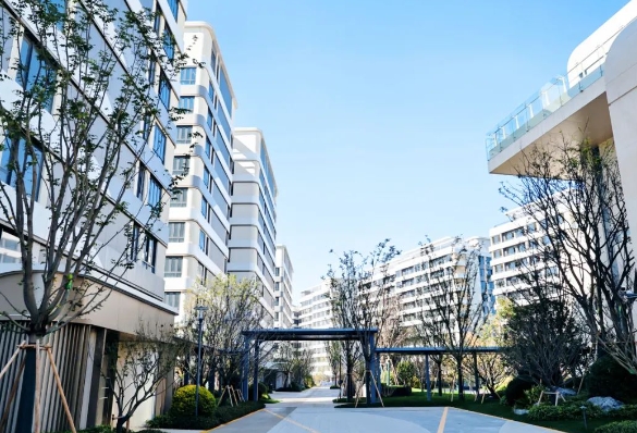 1710311519652067950.png 2.png