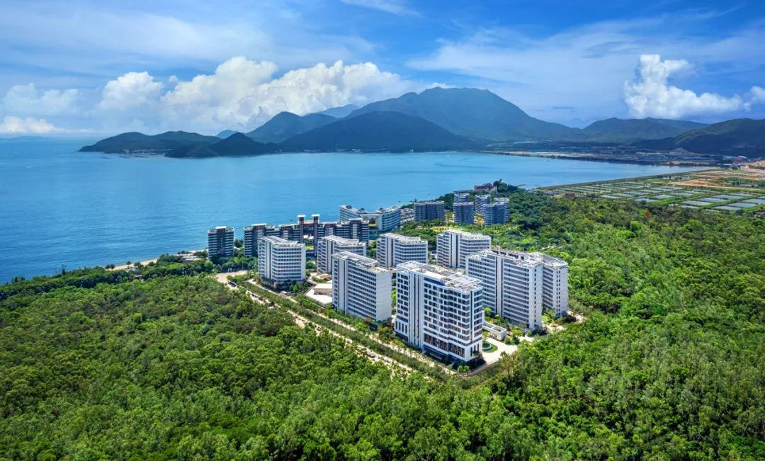 1713334302073091366.jpg 1713334302073091366.jpg