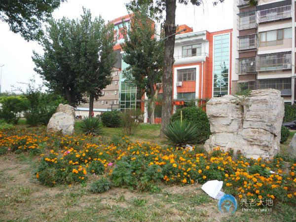 1716788921235011499.jpg 1716788921235011499.jpg