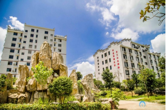 1717380354835077432.png 1.png