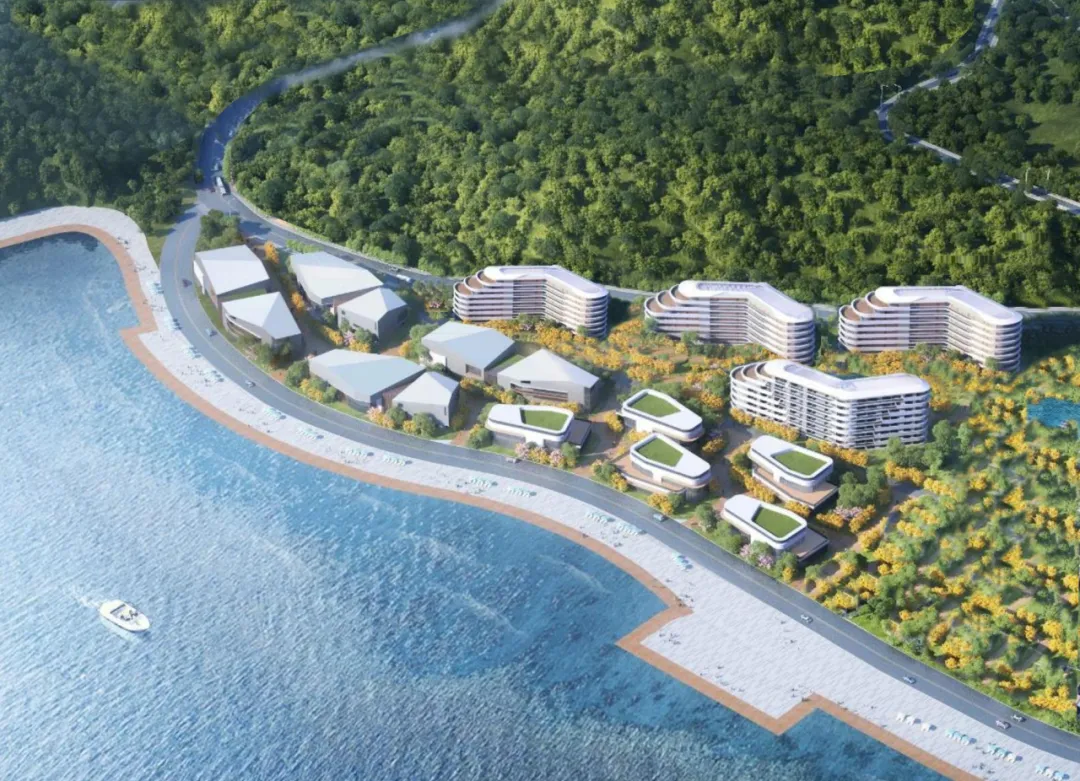 1734318615065080275.jpg 1734318615065080275.jpg